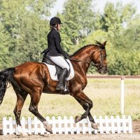 Выездка :: SanSan 