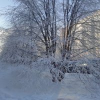 Моя улица :: Татьяна Лютаева