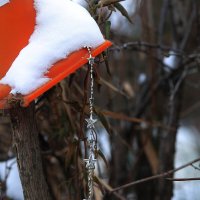 Зимнее украшение :: Юрий Гайворонскiий