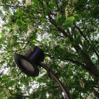 у театра :: Елена Шаламова