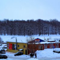 Чебоксары. Юго-восточные окрестности Бауманского леса зимой. :: Пётр Чернега