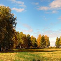 Просторы осени. :: nadyasilyuk Вознюк