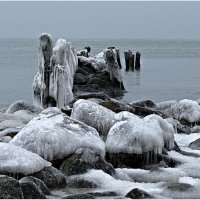 Обледенение после шторма и мороза. :: Валерия Комова