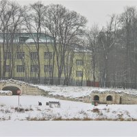 ЗИМНИЙ ПАСМУРНЫЙ ДЕНЬ В ПАРКЕ КУЗЬМИНКИ-ЛЮБЛИНО :: Валентина 