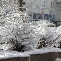 Зима  в Симферополе :: Валентин Семчишин