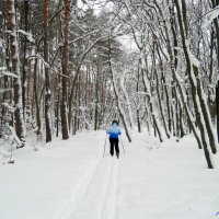 На лыжне января :: Андрей Заломленков