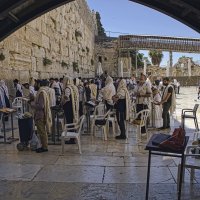 Иерусалим ,2025г :: ujgcvbif 