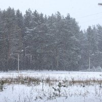 снегопад :: Владимир Зеленцов