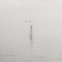 Белый покой. :: Анатолий Щербак