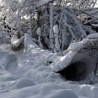 заснежило :: Aleksandr 