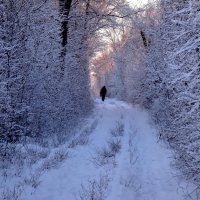 - :: Aндрей Антонов