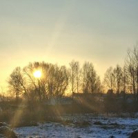 Зимнее солнце!!! :: оля san-alondra Зимнее солнце!!! :: оля san-alondra