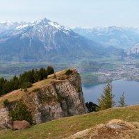 spring :: Elena Wymann