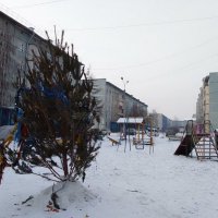 двор 1мркн :: Екатерина Панова