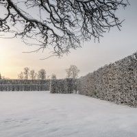 Про Питер :: Владимир Колесников