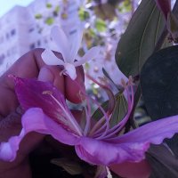 13  ОПЕН (837) :: OPEN WAYS ALL