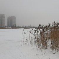 Зимний пейзаж :: Наталья Герасимова