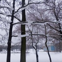 Зима :: Сапсан 