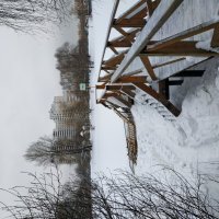 Наши Крещенские НЕкупания :-( :: Андрей Лукьянов