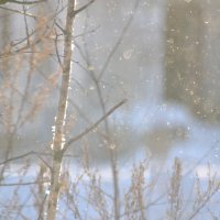 А снег идёт... :: Prizrak 777