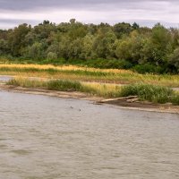 Река Кубань :: Игорь Сикорский