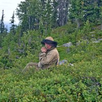 Отдыхает. :: ВикТор Быстров