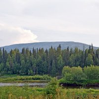 Прощай, Тима из! :: ВикТор Быстров Прощай, Тима из! :: ВикТор Быстров