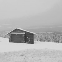 Белогорье :: Лариса С.