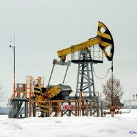 Парадоксы России: нефть дешевеет, а бензин дорожает..:-) :: Андрей Заломленков