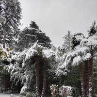 Сочи :: Serega SchütZ