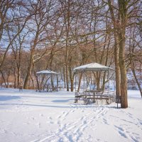 В зимнем парке так бело, так бело ... :: Ravile 