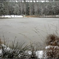 *** :: Aleksandr Gal