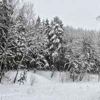 Подмосковье сегодня :: Вадим Подмосковье сегодня :: Вадим