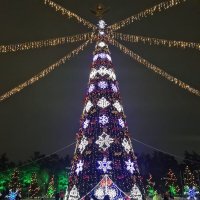 Ёлка в Караганды :: Динара Каймиденова