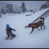 Бездомная собака и малыш. :: Борис Яковлев