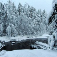 *** :: Галина Полина