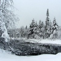 *** :: Галина Полина