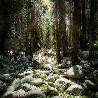 ВОЛШЕБНЫЙ ЛЕС :: HART BAD