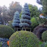 Адлер. Сочи Парк... :: Нина Бутко Адлер. Сочи Парк... :: Нина Бутко