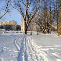 Лыжня зовёт :: Мария Васильева