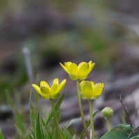 *** :: Александр. AVG100 --- *** :: Александр. AVG100 ---