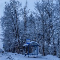 Зимнее утро :: Наталья Rosenwasser