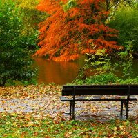 Скамейка с видом на осень :: Юрий. Шмаков Скамейка с видом на осень :: Юрий. Шмаков