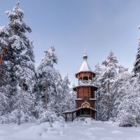 Зима в Лен области :: Владимир Колесников