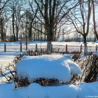Белый мир, полный волшебства. :: Елена Сухорученкова