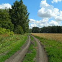 ДОРОГИ  ПОЛЕВЫЕ... :: Галина 