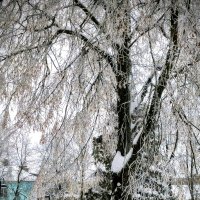 Январский день. :: Михаил Столяров