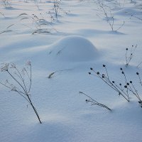 Зимний натюрморт :: Сергей Курников Зимний натюрморт :: Сергей Курников