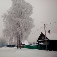 Зимний день :: Сергей Кочнев