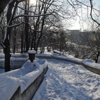 Зимний день :: Наталья Rosenwasser